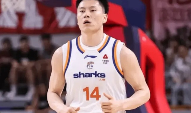 CBA最佳阵容3人成大赢家！李弘权逐步提升，庞峥麟+徐昕获认可！|篮板|球员|赛季|杜锋|星锐_新浪体育_新浪新闻